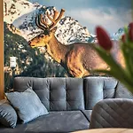 Trawers * Zakopane