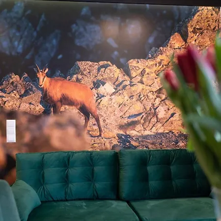 Apartamento Trawers Zakopane