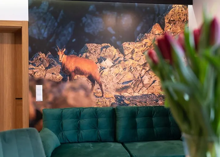 アパート Trawers ザコパネ